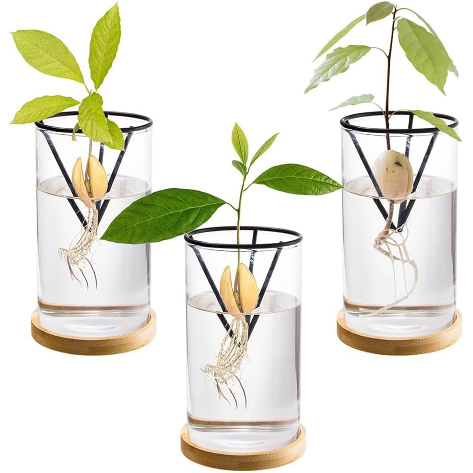 Crystal Growing Kit - 1 ensemble de Kits de culture