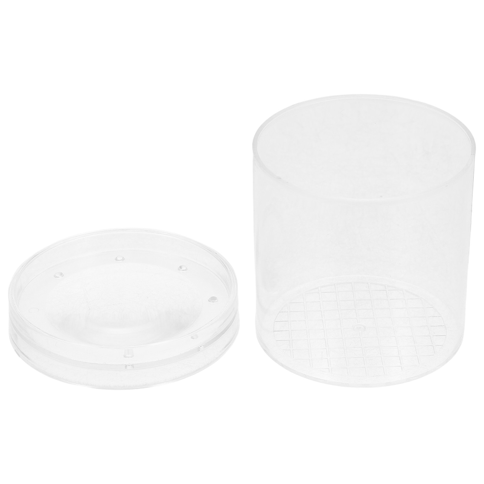 Science Toys - Boîte d'observation d'insectes à grossissement 3X,