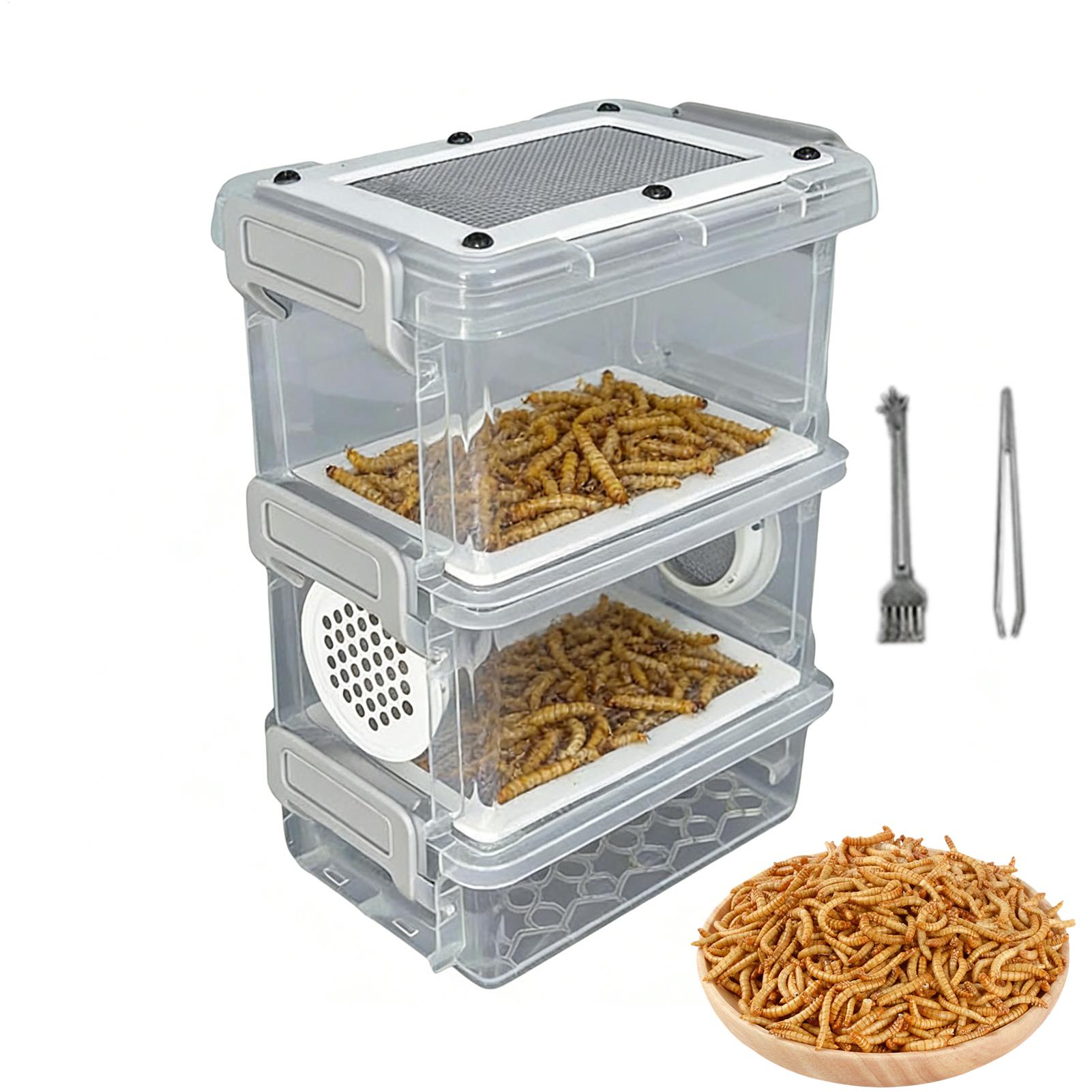 Science Hobbyist - Kit d'élevage de vers de farine,
