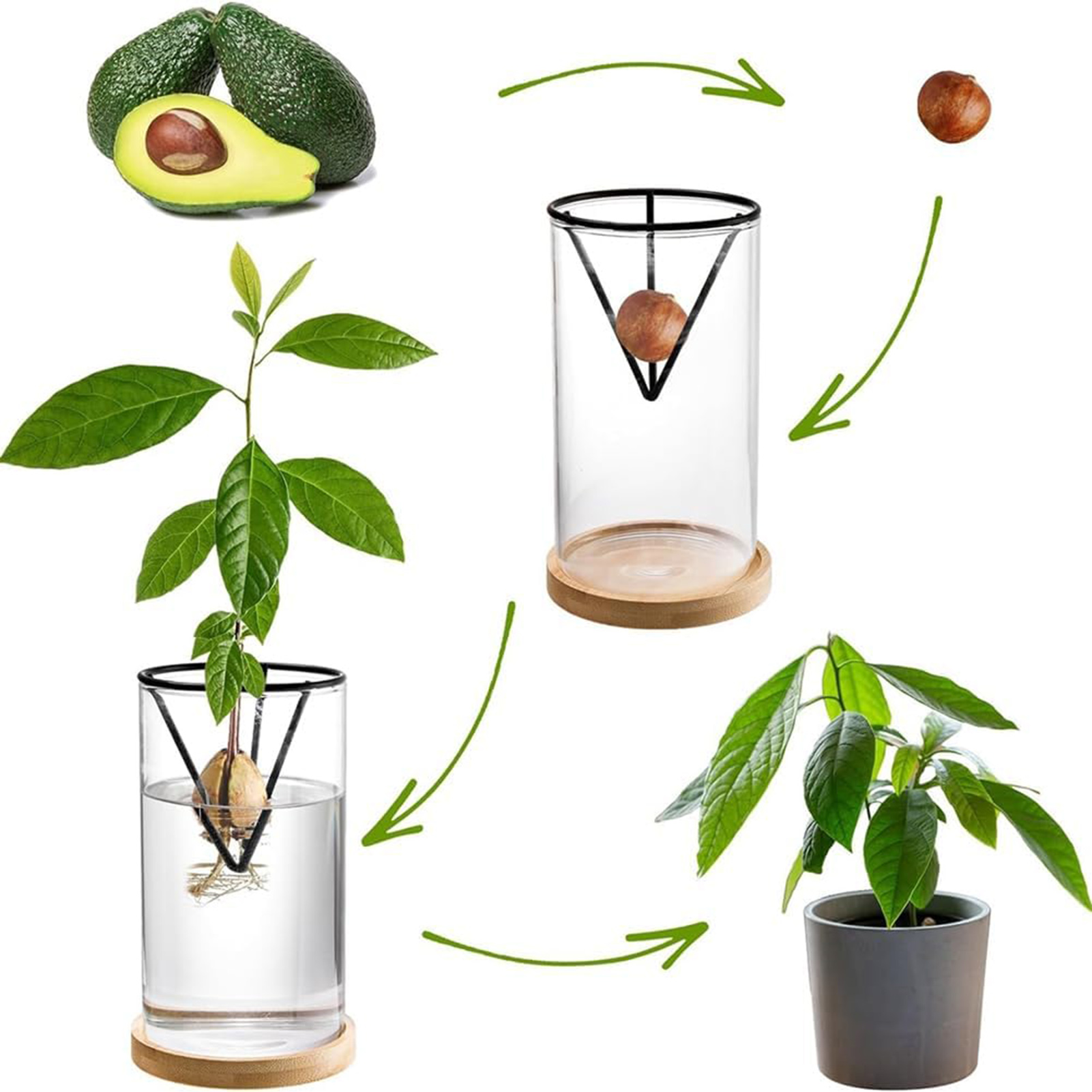 1 ensemble de Kits de culture  - Crystal Growing Kit avis et prix
