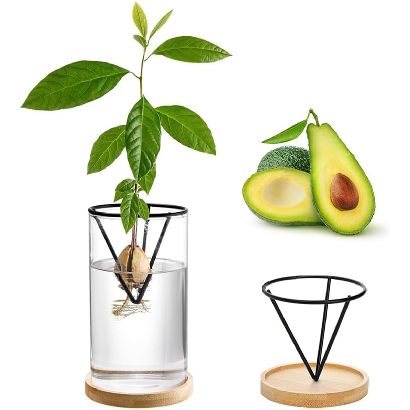 1 ensemble de Kits de culture  - Crystal Growing Kit avis et prix