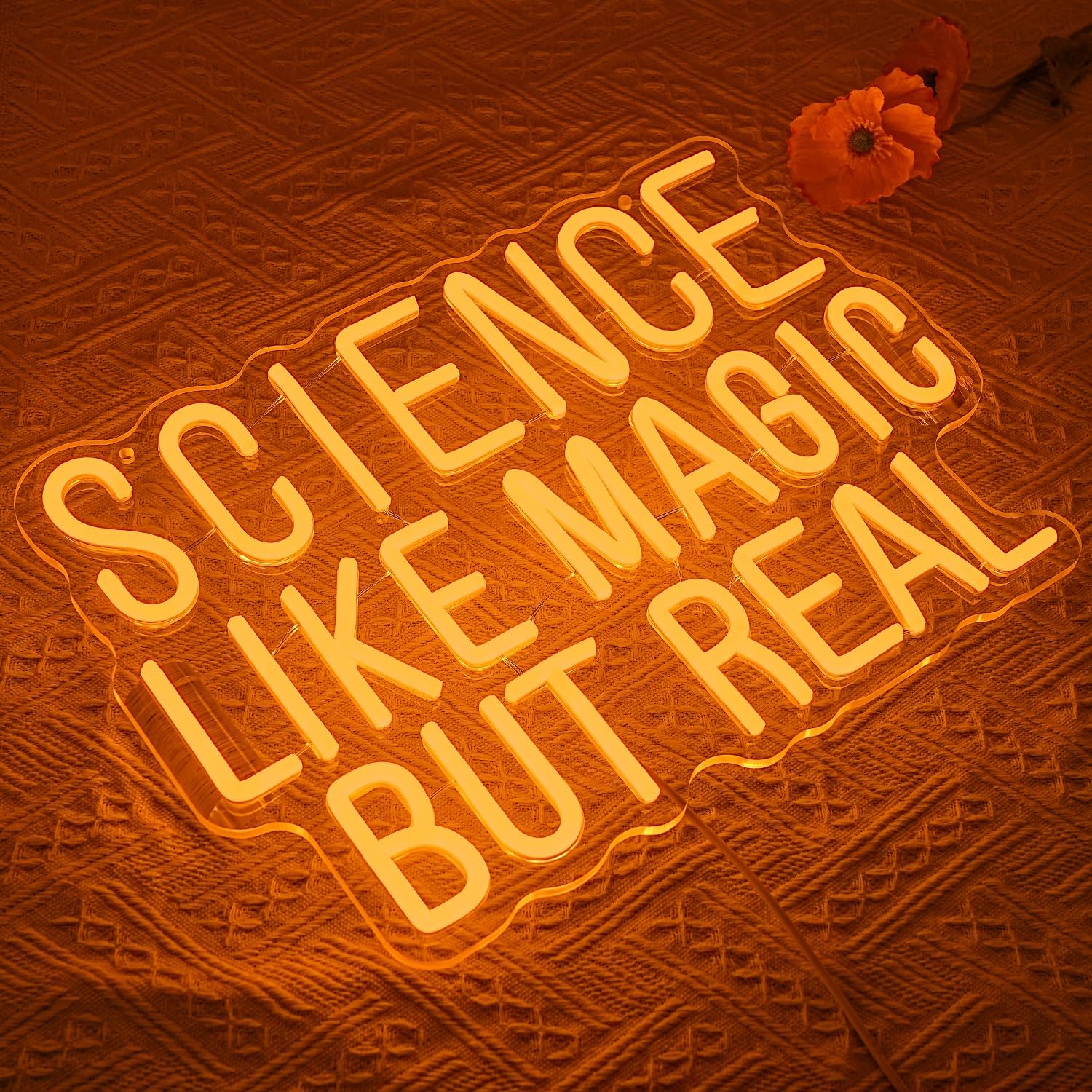 Lumière murale LED USB en néon - Science Hobbyist avis et prix