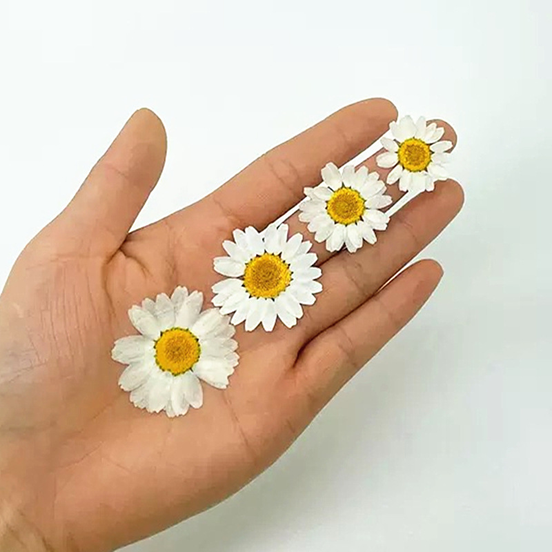 100 pièces de spécimens de pla - Crystal Growing Kit avis et prix