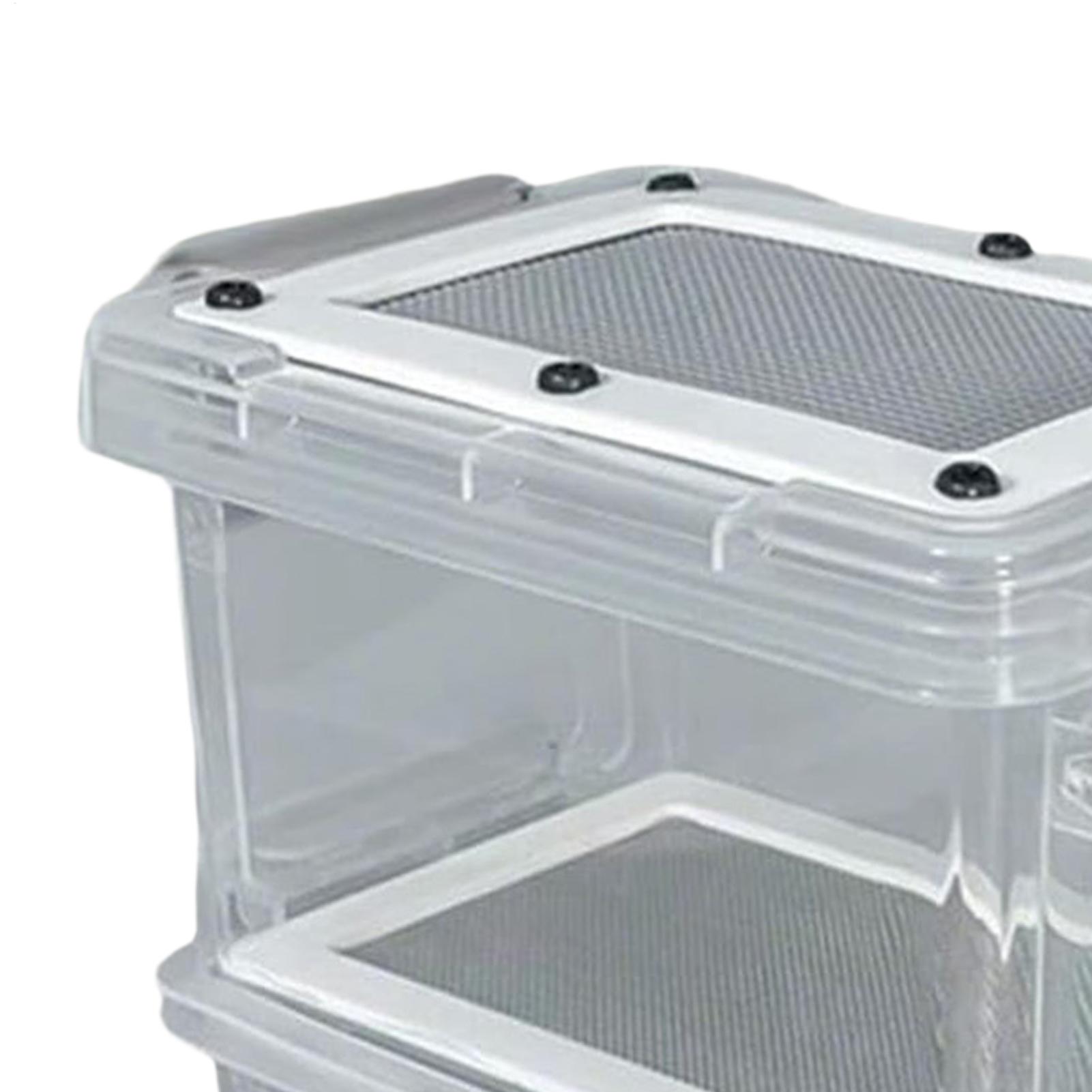 Kit d'élevage de vers de farin - Science Hobbyist avis et prix